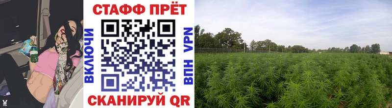 Канабис Нижневартовск