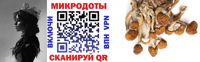 Псилоцибиновые грибы Psilocybe  Нижневартовск 